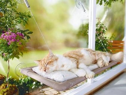Sunny Seat Cama Yapışan Kedi Yatağı